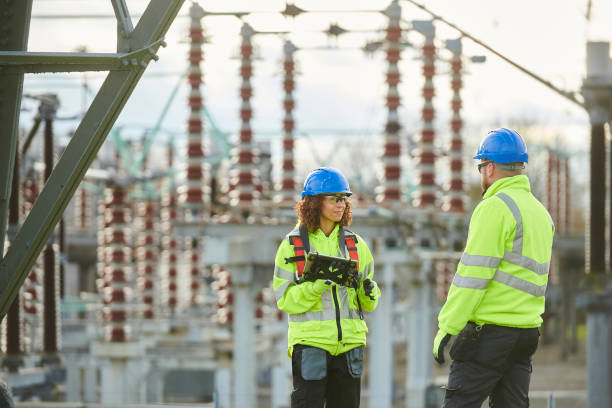 Best Local Electrician Companies  in Mount Morris, MI