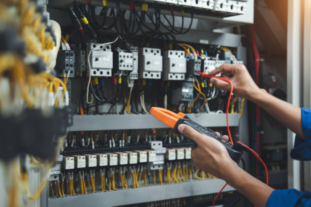 Best Licensed Electrician  in Mount Morris, MI