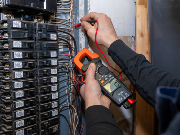 Best Licensed Electrician  in Mount Morris, MI